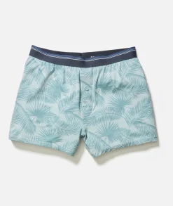 Best Boxers Ever