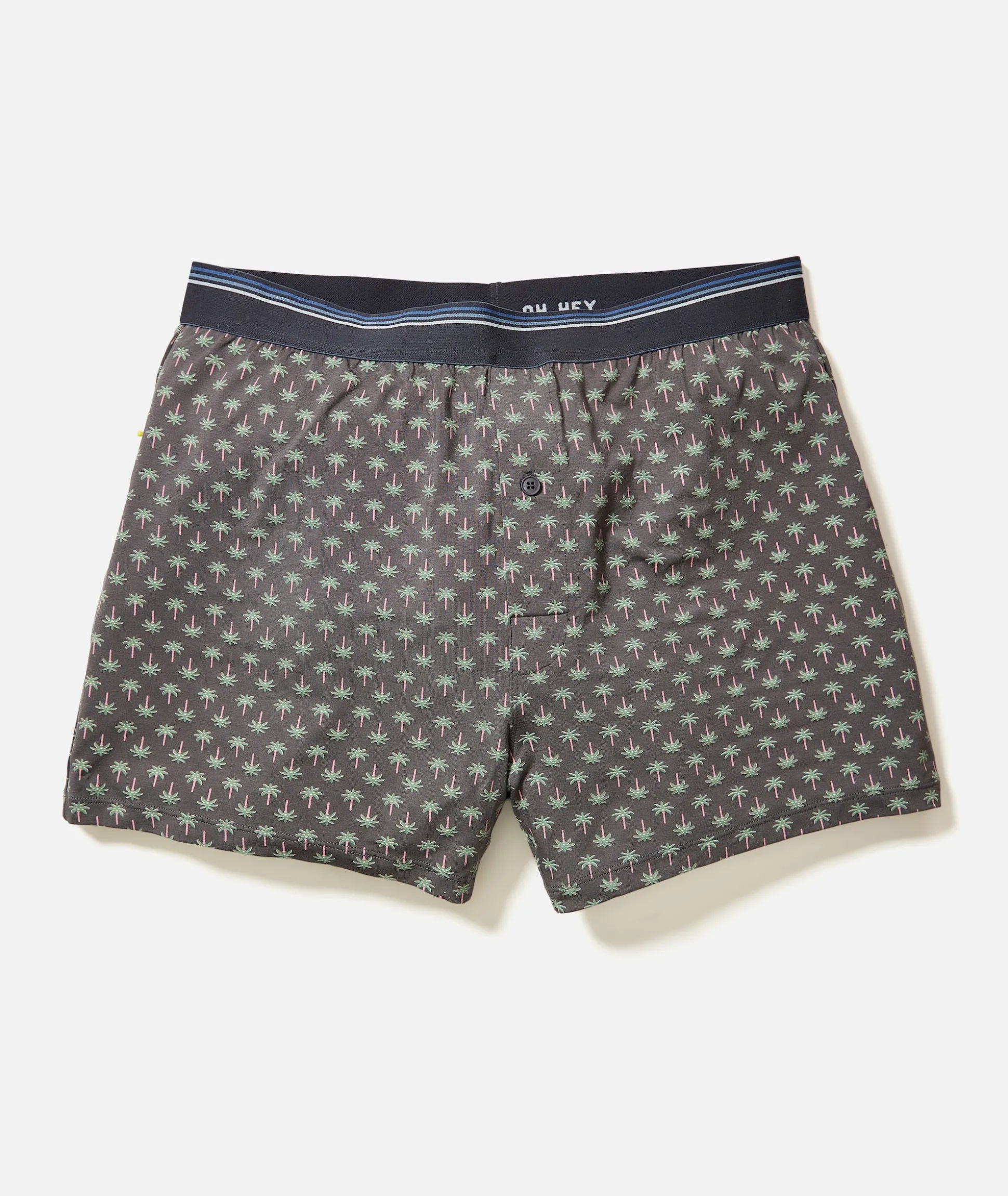 Best Boxers Ever